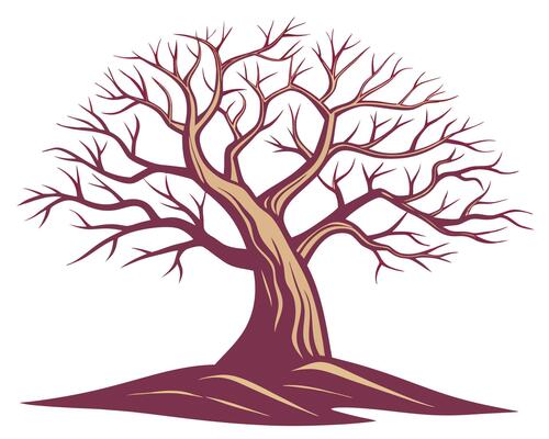 Elegant illustration of a bare tree with detailed branches on a white background