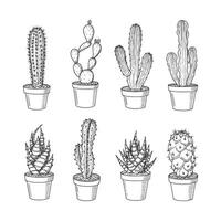 Hand-Drawn Cactus and Succulent Sketch Illustration Set vector