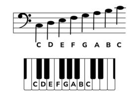 Musical staff and a piano keyboard with notes. Musical infographic with C major in bass clef for music piano lessons, educational apps. Correlation between the staff and piano keys vector