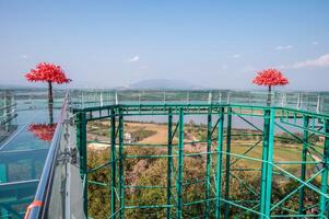 View of skywalk in Wat Phrathat Pha Ngao temple for viewing Thailand and Laos border across Mekong river. photo