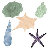 Seashells and starfish on a white background vector