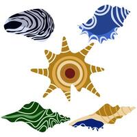 Set of seashells on a white background vector