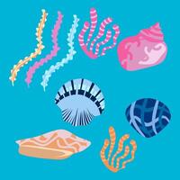 Set of sea shells and jellyfish. vector