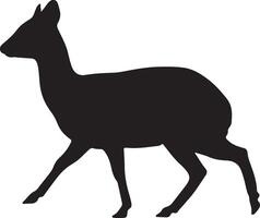 Silhouette of a Klipspringer on a white background vector