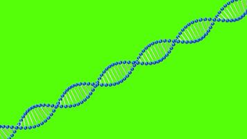 Understanding the structure and significance of DNA in genetic research and its applications in science video
