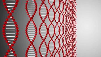 Understanding DNA structure and function through vivid 3D models in a scientific environment video