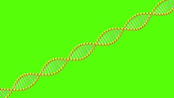 Understanding the structure of DNA and its role in genetics along with its significance in modern science video