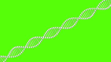 compreensão dna estrutura e Está vital Função dentro genética e biológico funções às uma fundamental nível video