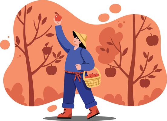 Person picking apples in autumn orchard with orange and brown tree leaves illustration