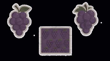 Set of Vintage Grape Slices Unfolded Sticker Animation. Alpha channel transparency video