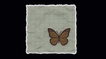 Animated Sticker of Butterfly on Paper with Alpha Transparency video
