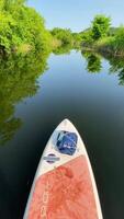 A paddle board is in the water with trees and water video