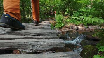 A person walking across a wooden bridge in the woods video