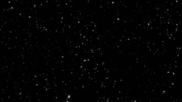 snow falling on a black background loop animated video
