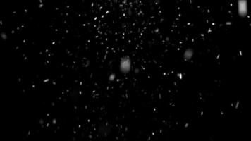 Realistic falling snow motion background animation. Snowflakes falling gently to the ground. video
