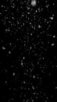 Realistic falling snow motion background animation. Snowflakes falling gently to the ground. Vertical winter animation. video