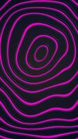Shiny pink neon wavy lines background. Rippling circles radiating from the center in fluid motion. Full HD and looping vertical animation video
