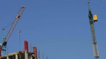 Workers operate large construction cranes as they assemble a high-rise building against a vibrant blue sky video