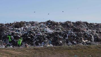 Garbage mounds and plastic waste show landfills' environmental challenges, stressing the need for improved waste management video