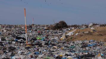 Exploring an extensive landfill filled with plastic and debris, showcasing the pressing pollution issues affecting the ecological balance video