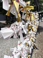 Tokyo city, JP 2024 - Closeup and perspective view of Omikuji, which people use to make a prediction. If the prediction is bad, it is left at the shrine to ward off bad luck. photo