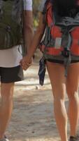 Couple of hikers stroll hand-in-hand along a sunlit forest path video