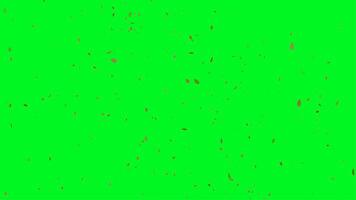 Brown Leaf Falling with Green Screen. 4k Animation video