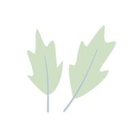 green soft color for maple leaves vector