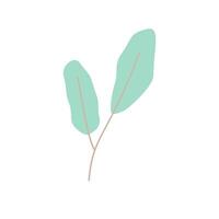 simple leaf with pastel color vector