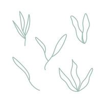 leaves collection with soft color and cute design vector