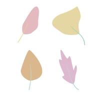 leaves set with soft color and cute design vector