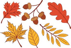 Colorful Thanksgiving Clipart for Print and Web vector