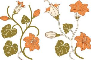Botanical Pumpkin Flower Art for Fall Projects vector