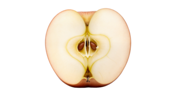 maçã metade cortar com testemunho e sementes transparente fundo imagem png