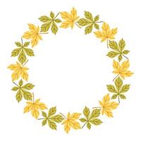 Simple autumn leaf circle frame. Round border made of fall leaves in orange, yellow, and green. The leaves have different shapes and are arranged in a circle. flat isolated on white background. vector