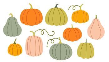Simple pumpkin set. Cute collection of pumpkins, gourds and squashes in soft orange, green, and peach colors. Each one has a unique shape, perfect for autumn designs. vector