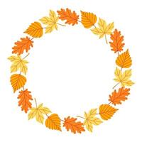 Autumn leaves circle frame. Round border made of fall leaves in orange, yellow. The leaves have different shapes and are arranged in a circle. flat isolated on white background. vector