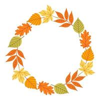 Autumn leaves circle frame. Round border made of fall leaves in orange, yellow, and green. The leaves have different shapes and are arranged in a circle. vector