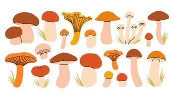Simple colorful set of hand drawn mushrooms in orange, brown, and beige tones. Different shape and size mushrooms, giving a cozy and fun fall forest feel. Flat design for card, pattern, banner vector