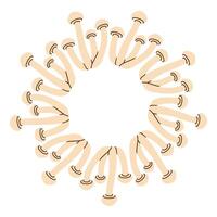 Mushroom white circle frame. Round border made of fall mushrooms. The mushrooms have different shapes and are arranged in a circle. flat isolated on white background. vector