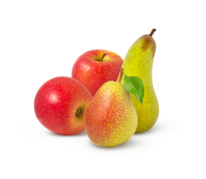 Two apples and two pears isolated. Green pear and red apple with leaf. png