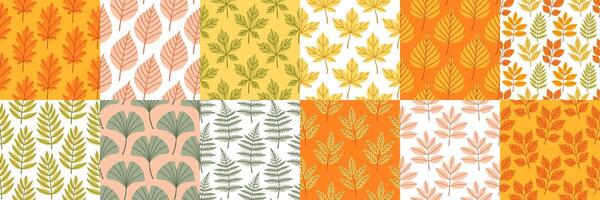 Simple abstract floral seamless pattern set with colorful autumn leaves. The leaves are arranged in rows on isolated background, cozy fall vibe. Hand drawn botanical leaves. vector