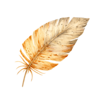 Watercolor illustration of a single brown feather with soft texture and fine details. Natural and artistic element for spring designs, wildlife themes, and eco-friendly creative projects. png