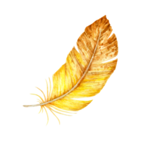 Watercolor illustration of a single yellow-brown feather with soft texture and curved shape. Suitable for boho-themed designs, natural compositions, and seasonal decorations. png