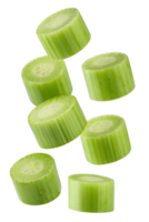 Freshly cut celery slices levitating, floating healthy food concept, isolated on transparent background png