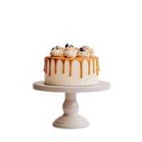 A white cake with caramel drizzle on top png