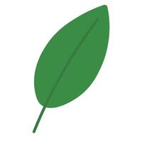 Clean Flat Leaves with Tropical Color vector