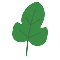 Elegant Green Leaf in Flat Approach vector