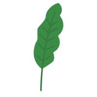 Flat Palm Leaf Design in Soft Green vector