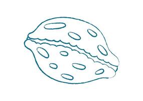 Chalk crayon seashell shape. Unique seashell form in doodle style. Underwater marine creature, graphic texture, potential for summer themes or aquatic designs. vector
